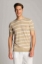 Beige Uomo Magliette